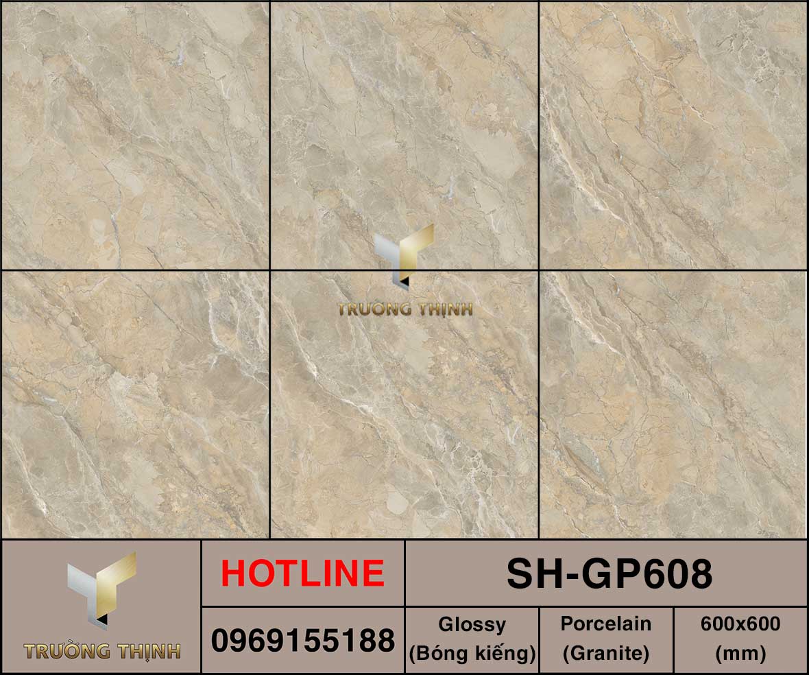 Ảnh MAP gạch lát nền 600x600 Viglacera SH-GP608