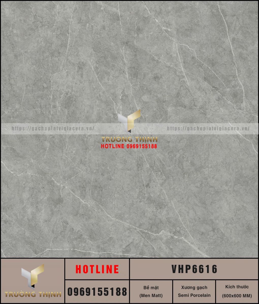 VHP6616