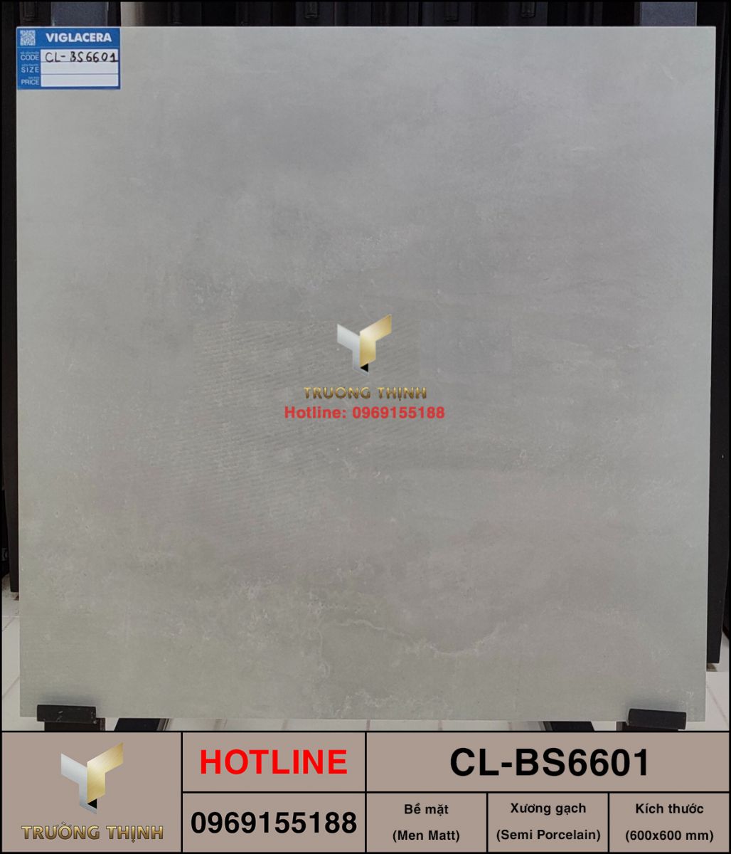 Gạch vân xi măng 600x600 Viglacera Cửu Long CL-BS6601 giá rẻ