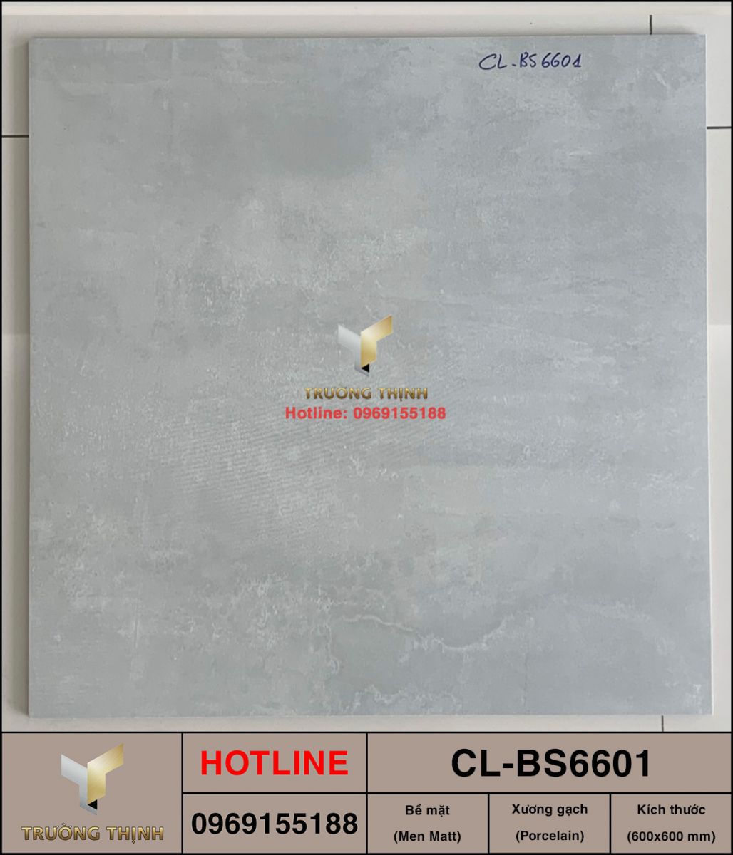 Gạch lát nền 600x600 Viglacera Cửu Long CL-BS6601 ảnh thực tế