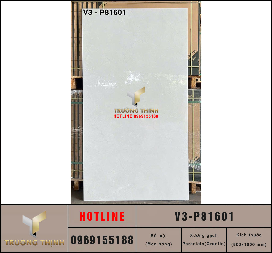 Gạch Khổ Lớn 800x1600 Viglacera V3-P81601 Vân Xi Măng | Giá Tốt Tại Trường Thịnh