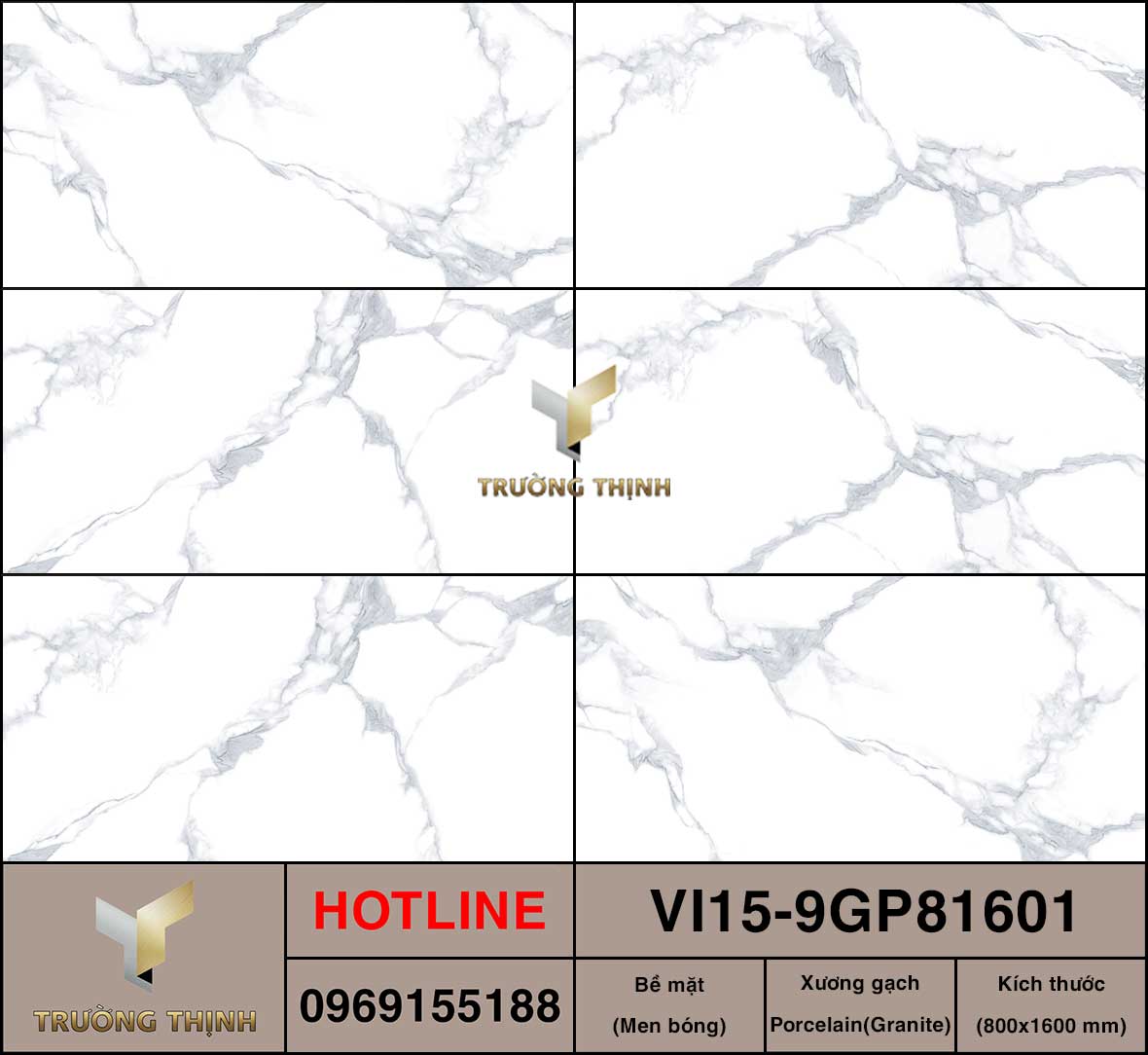 VI15-9GP81601