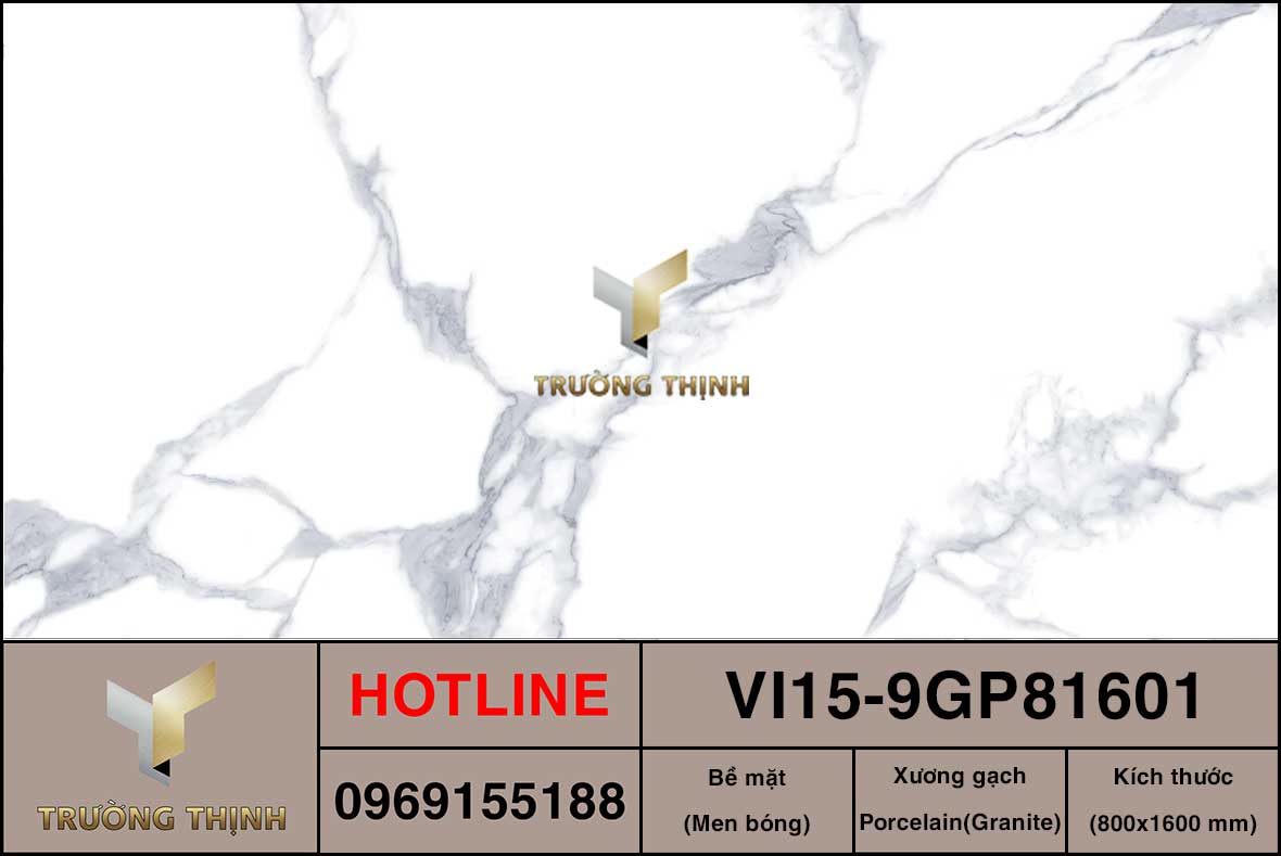 VI15-9GP81601