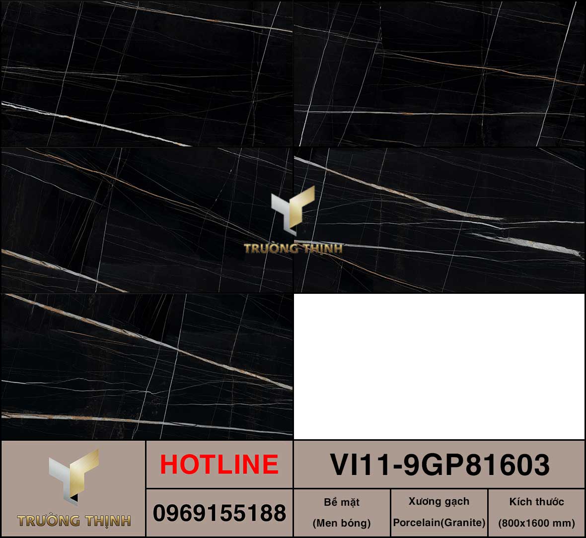 VI11-9GP81603
