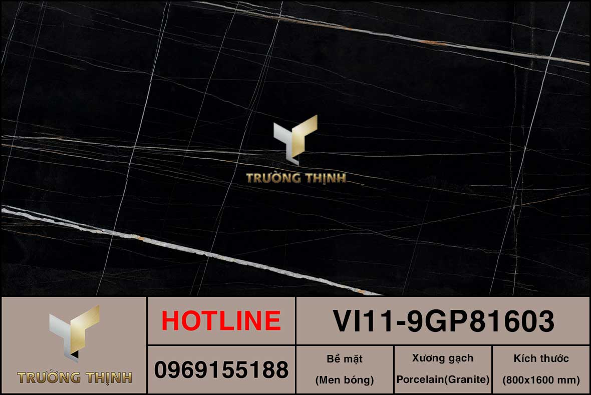 VI11-9GP81603