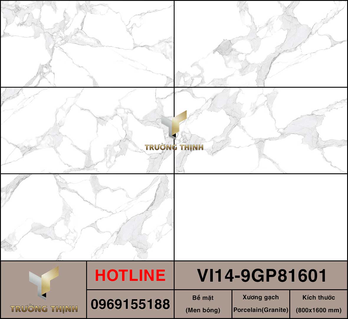 VI14-9GP81601