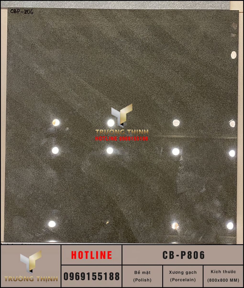 Gạch Porcelain 800x800 Viglacera Platinum CB-P806