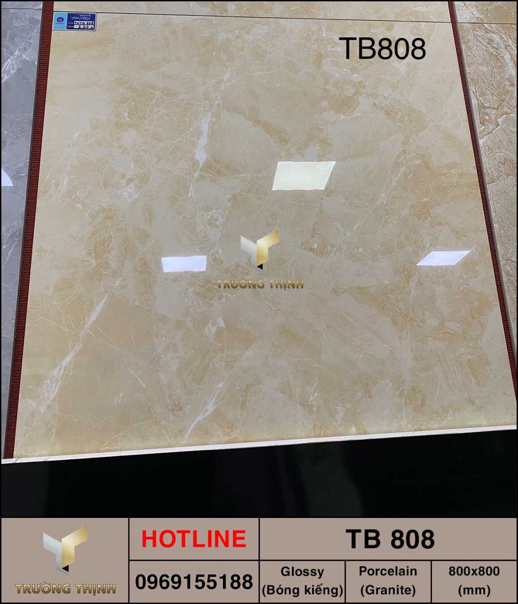 Gạch giả đá 800x800 Viglacera TB 808 giá rẻ