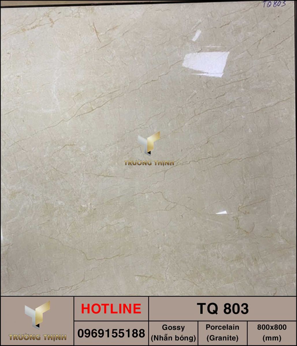 Gạch giả đá 800x800 Viglacera TQ 803 giá tốt