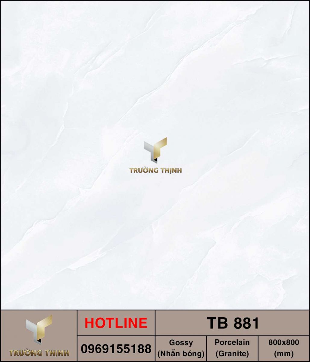 Gạch granite 800x800 Viglacera TB 881 cao cấp
