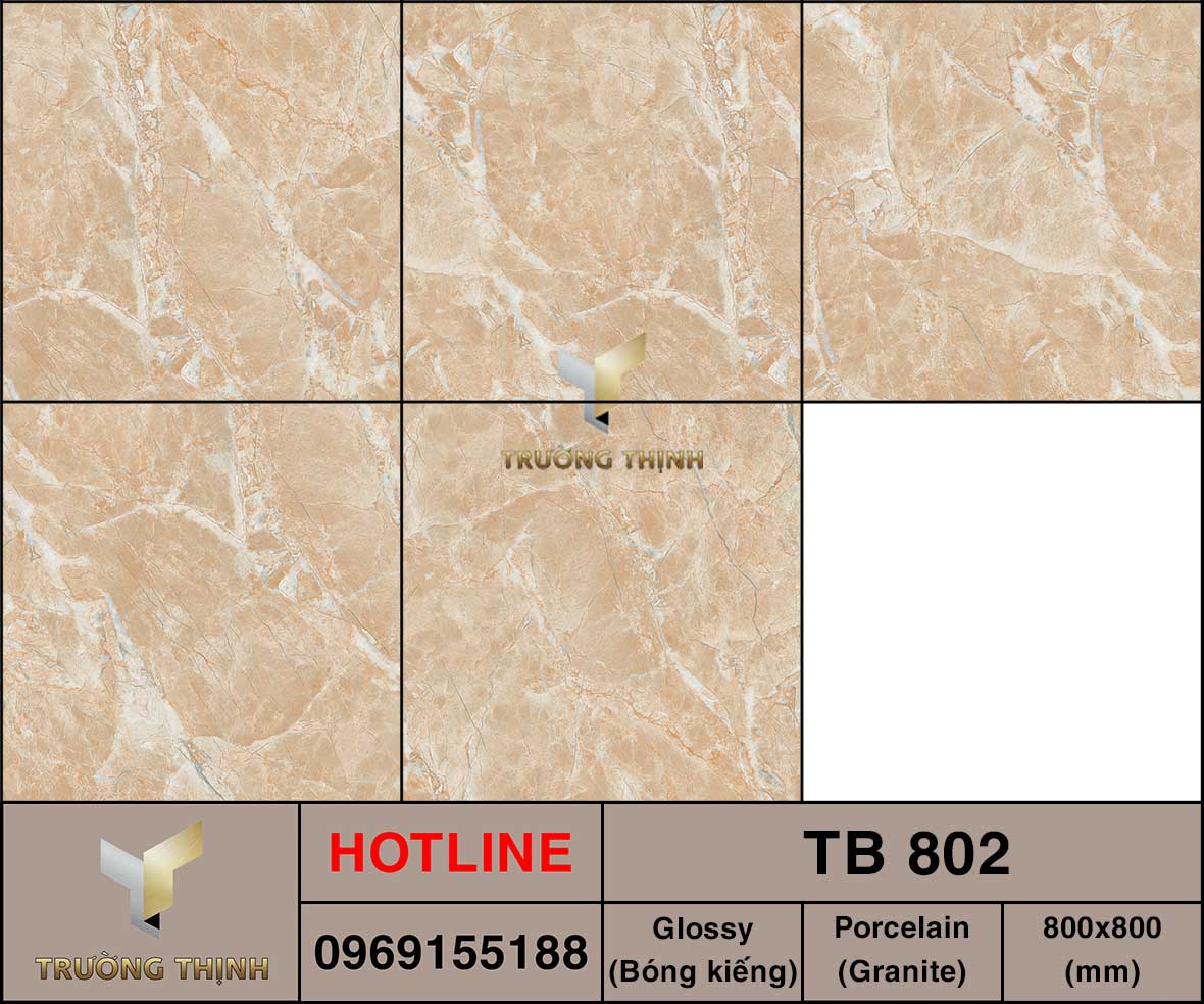 Gạch lát nền 800x800 Viglacera TB 802