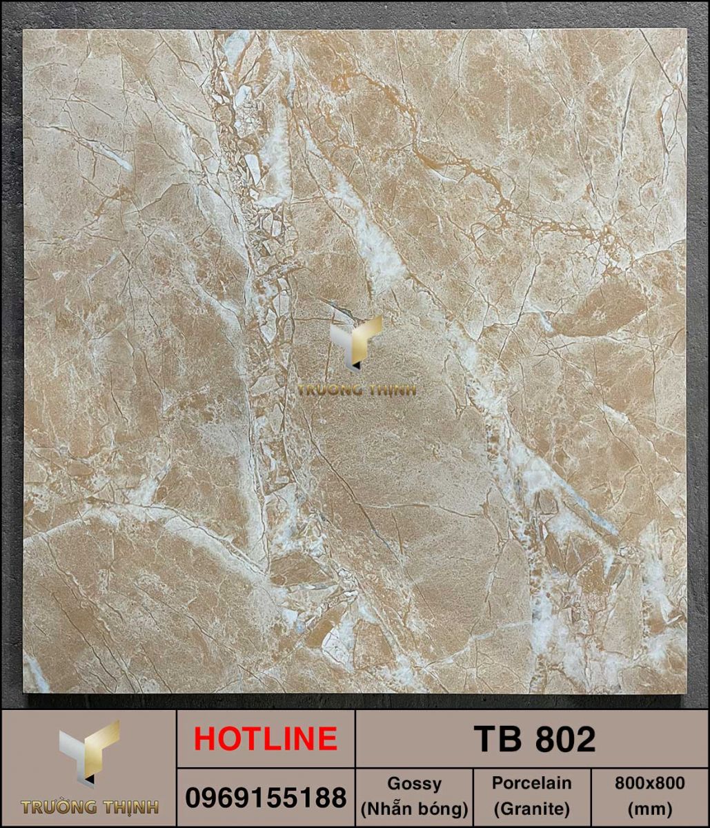 Gạch granite vân đá 800x800 Viglacera TB 802 giá rẻ