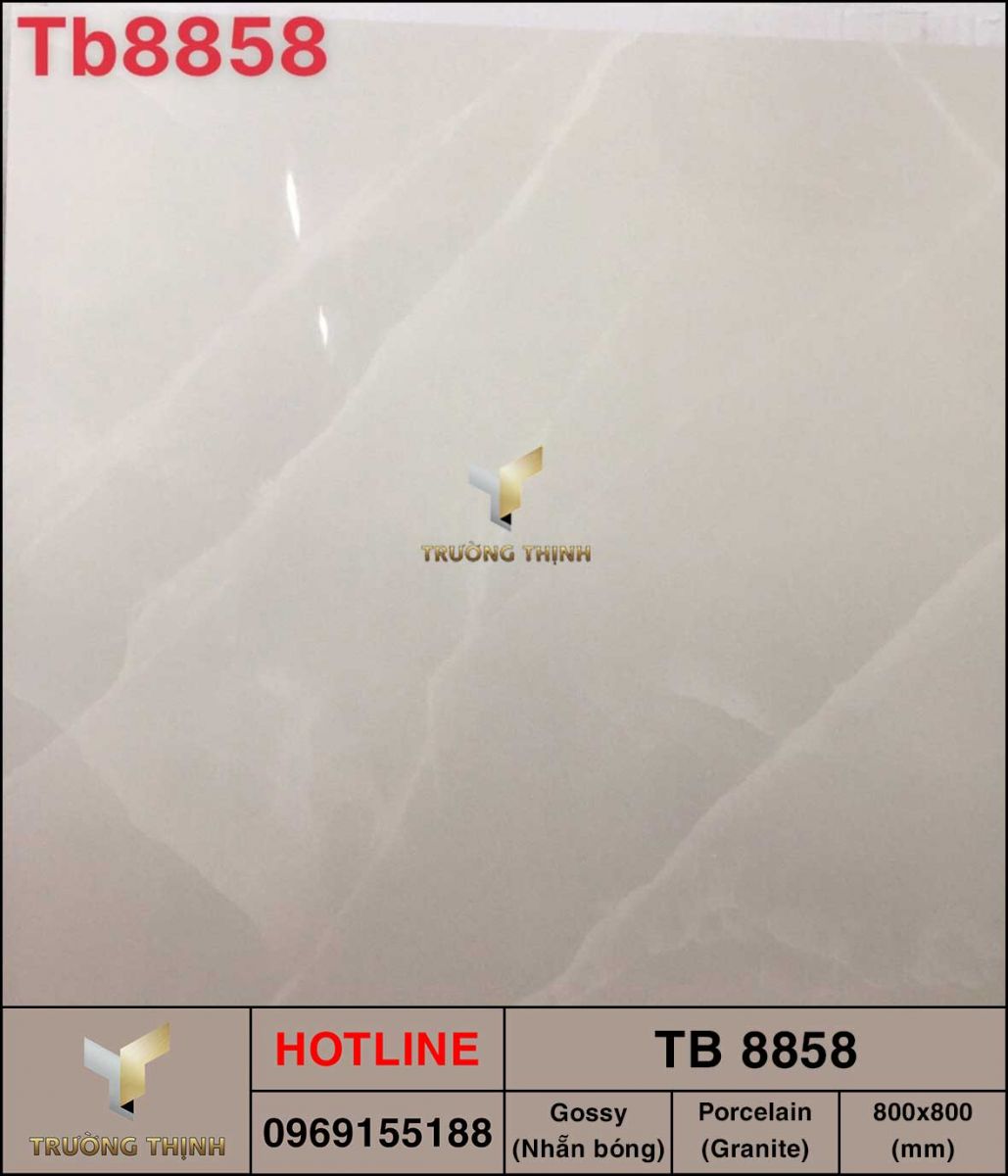 Gạch lát nền 800x800 Viglacera TB 8858 giá rẻ