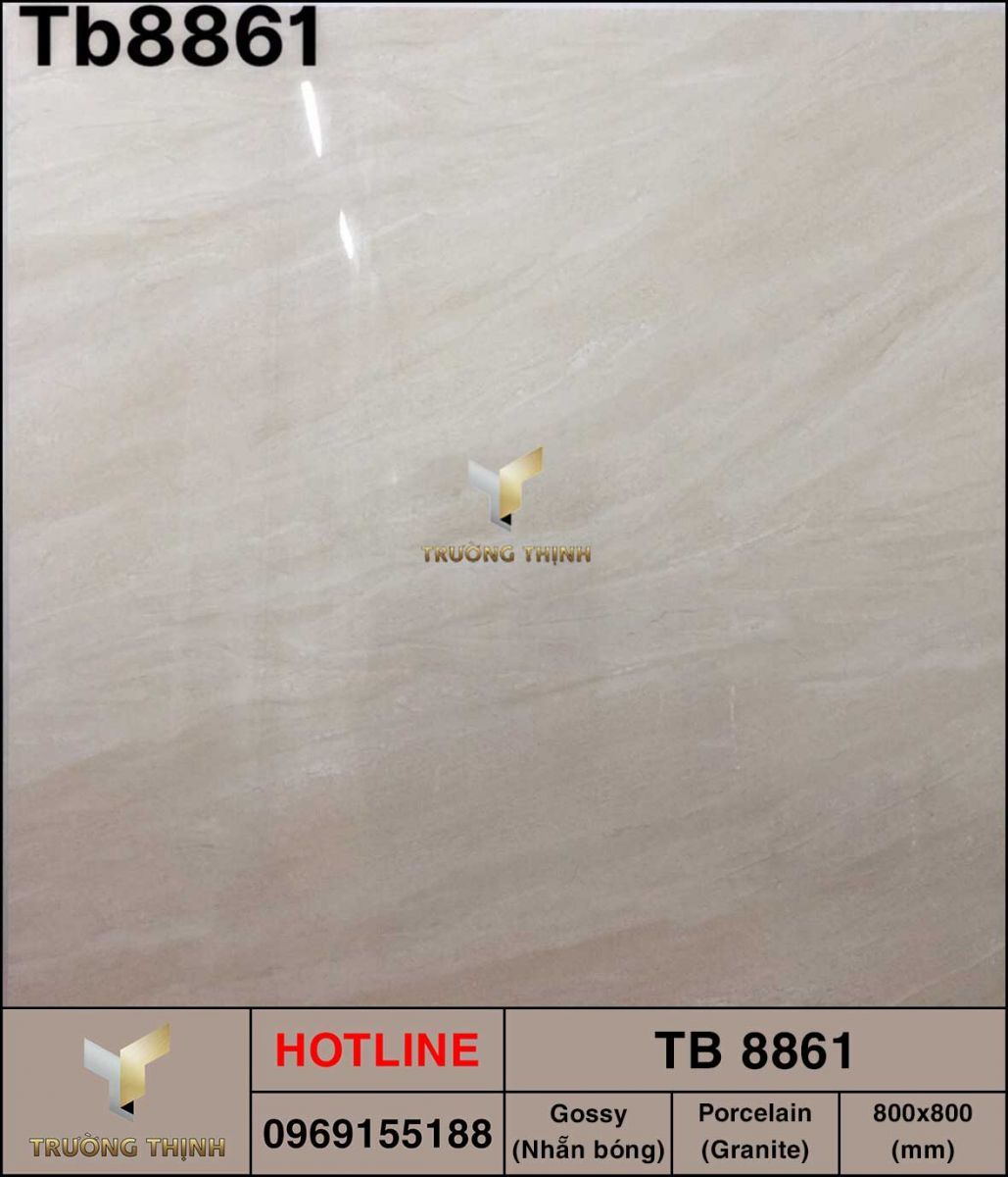 Gạch lát nền 800x800 Viglacera TB 8861 vân đá