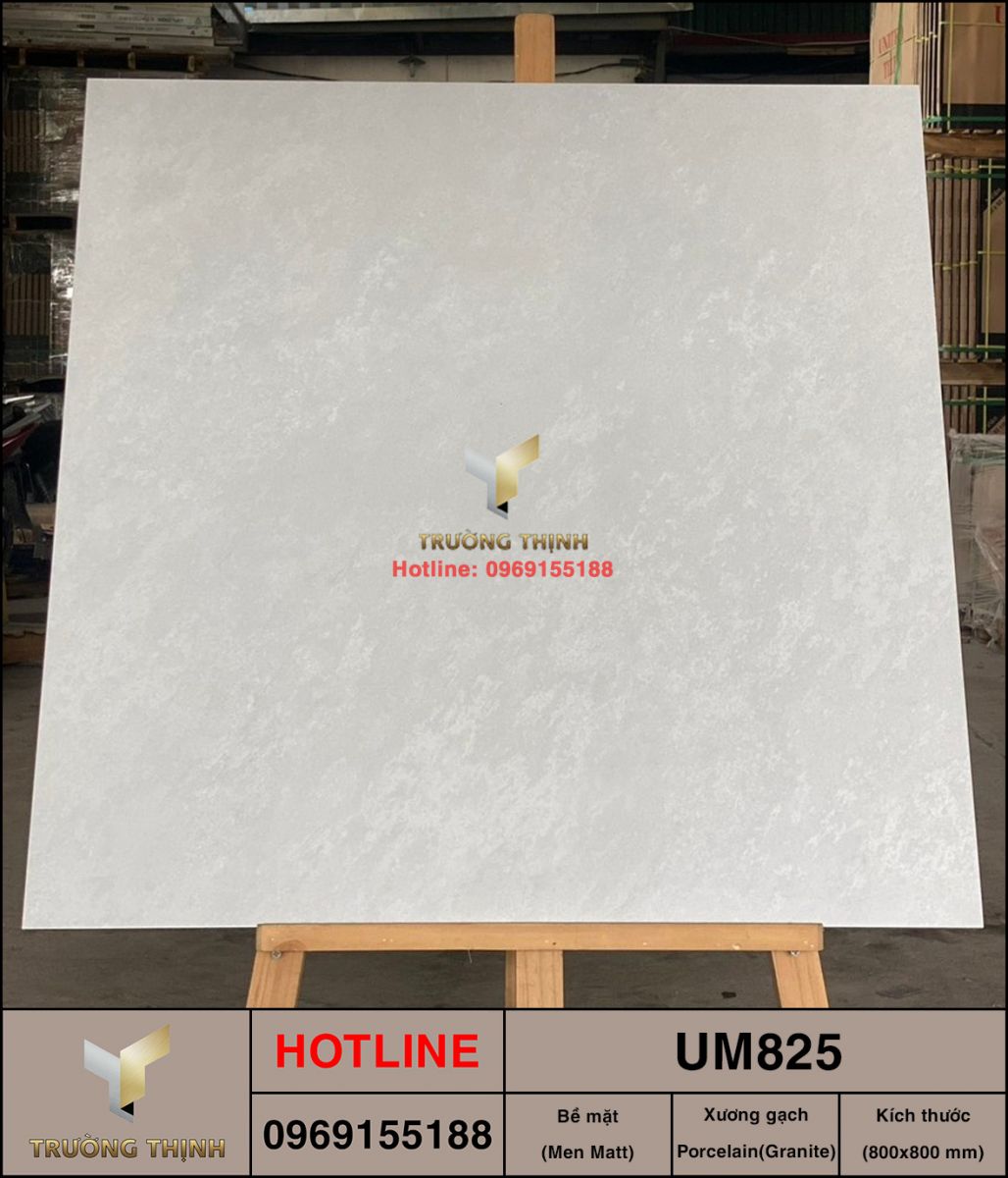 Gạch lát nền Porcelain men Matt 800x800 Viglacera UM825