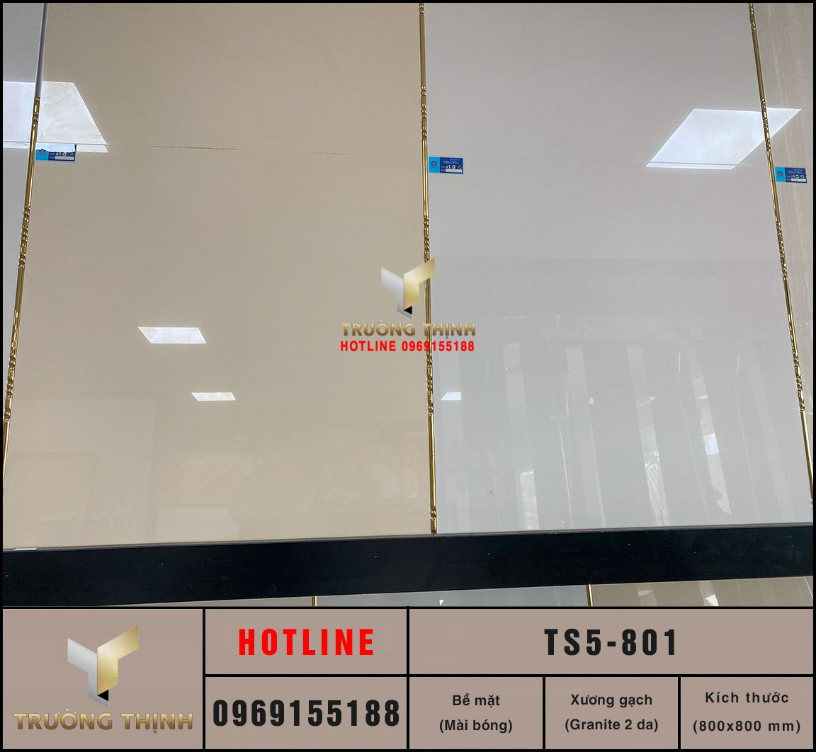 Gạch lát nền 800x800 Viglacera TS5-801