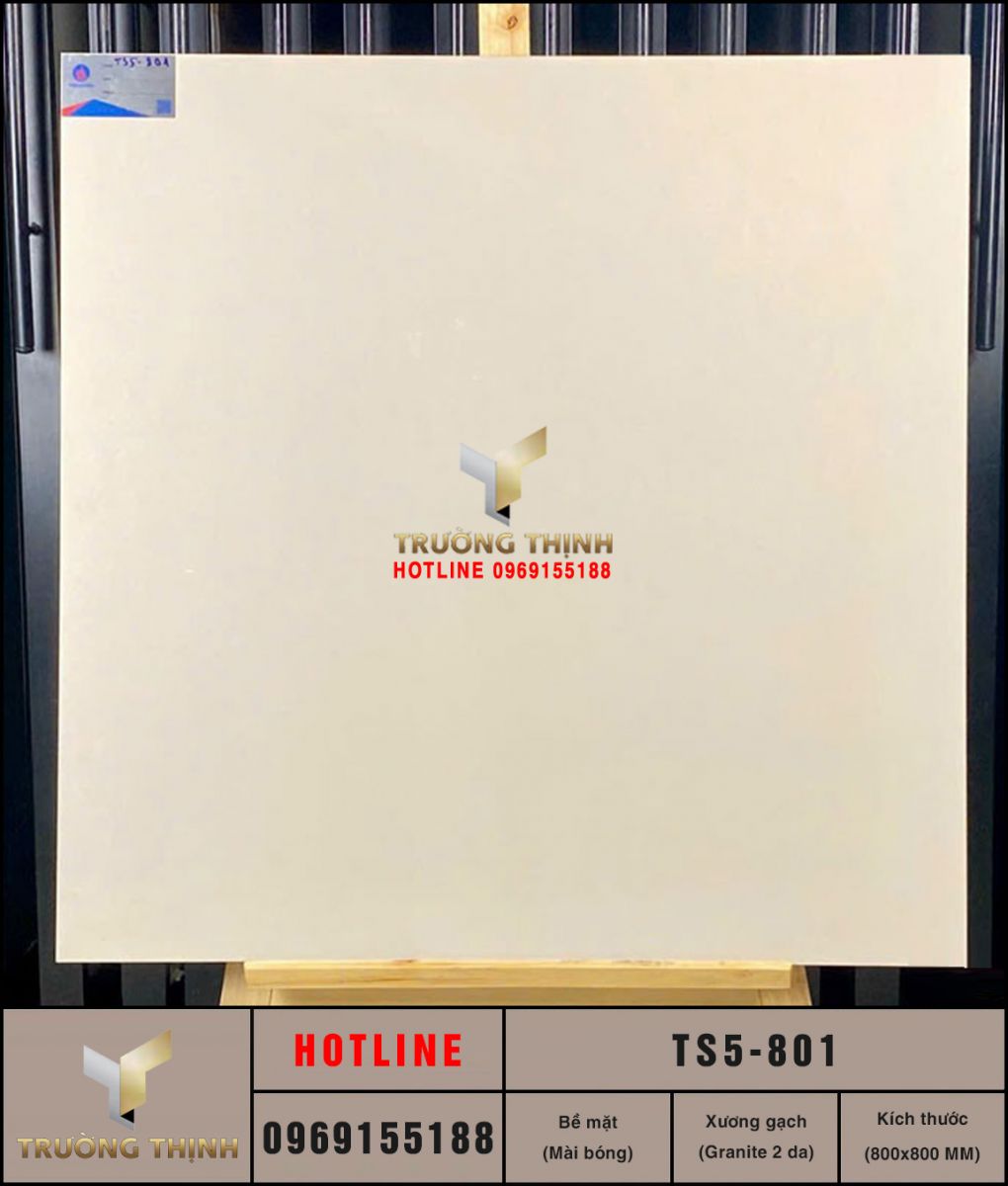 Gạch lát nền 800x800 Viglacera TS5-801