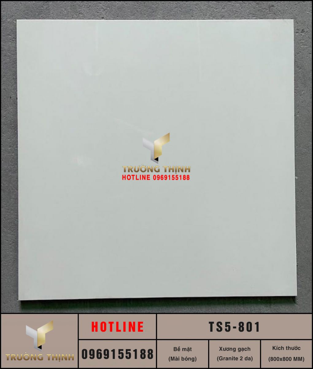Gạch lát nền 800x800 Viglacera TS5-801