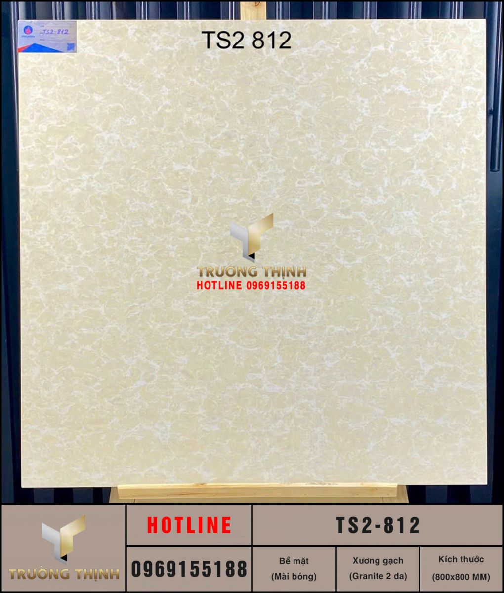 Gạch lát nền granite 2 da 800x800 Viglacera TS2-812 giá rẻ