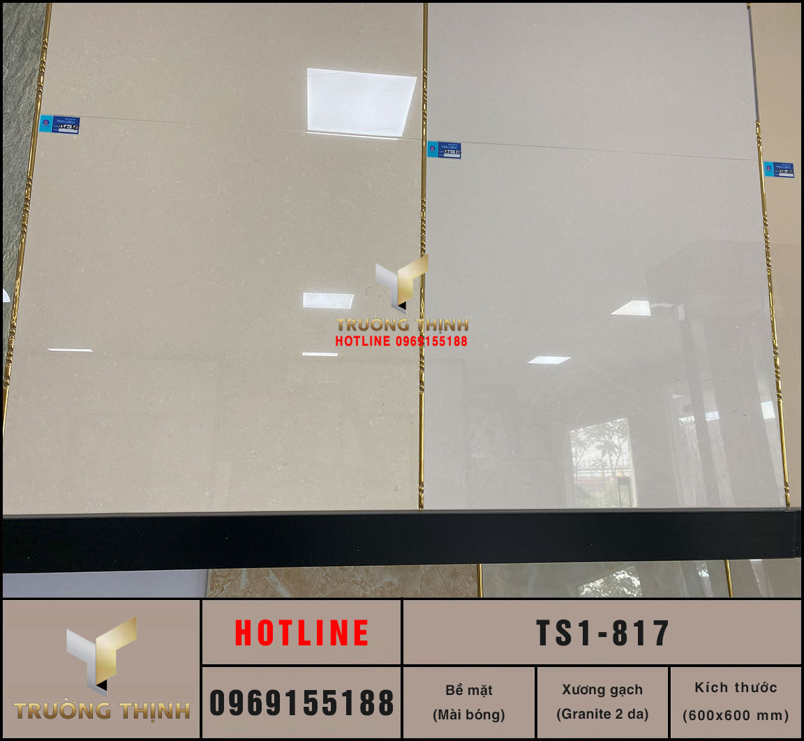 Gạch lát nền 800x800 Viglacera TS1-817