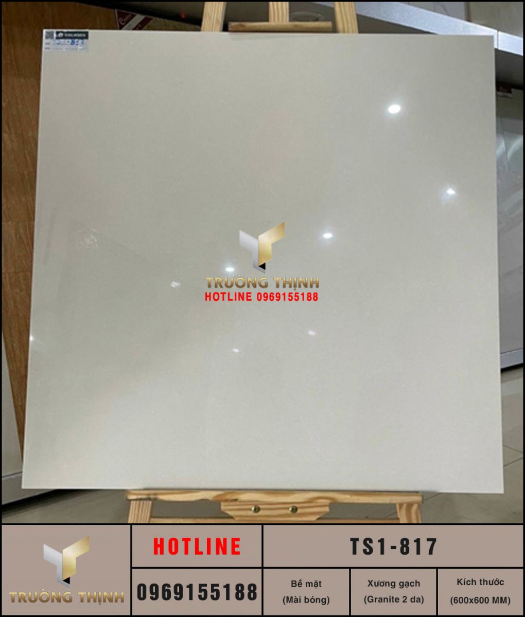 Gạch lát nền 800x800 Viglacera TS1-817