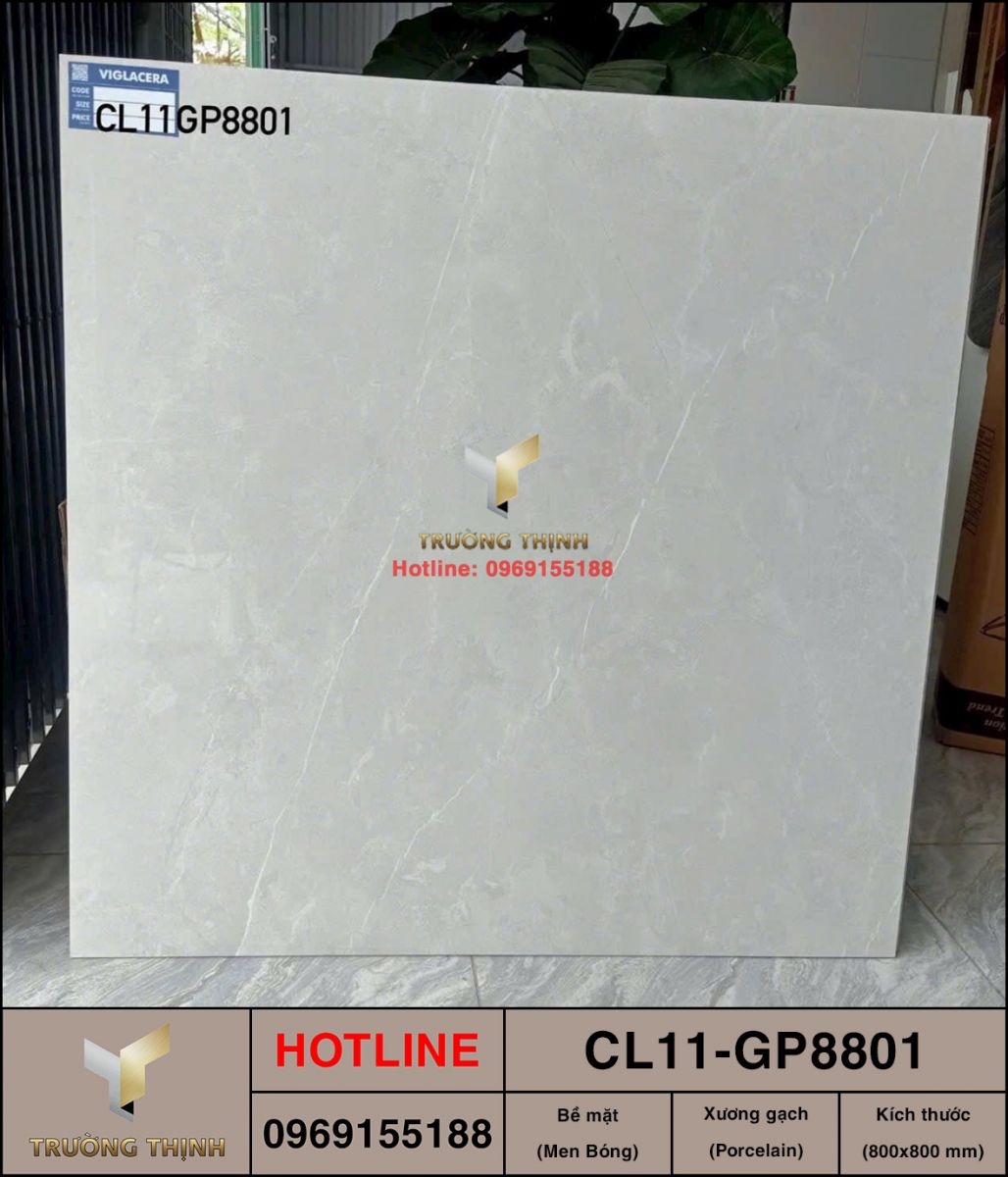 Gạch ốp lát 800x800 Viglacera Cửu Long CL11-GP8801