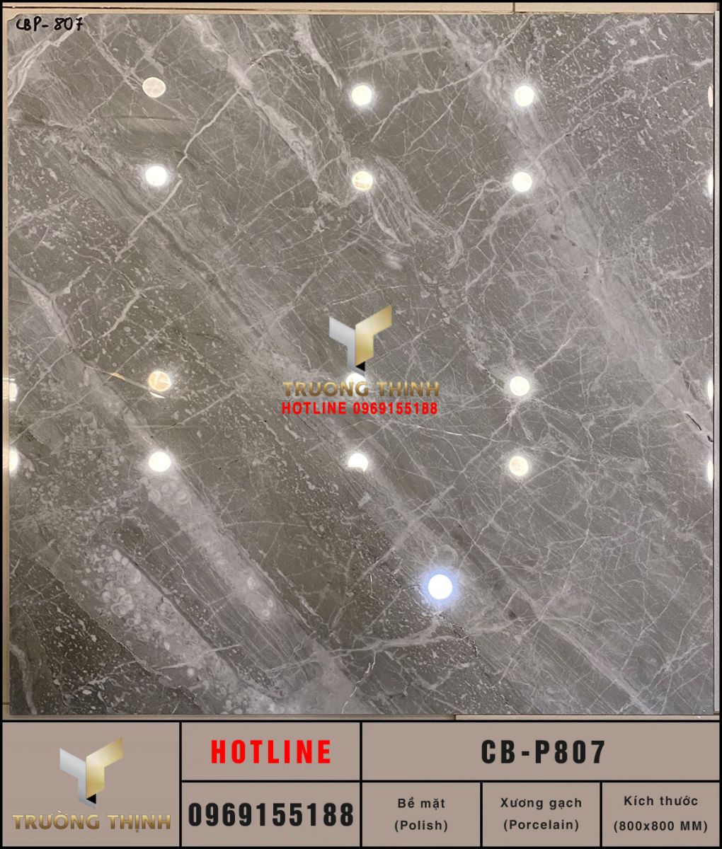 Gạch vân đá 800x800 Viglacera Platinum CB-P807