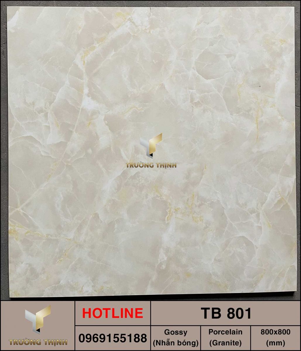 Gạch vân đá 800x800 Viglacera TB 801 cao cấp