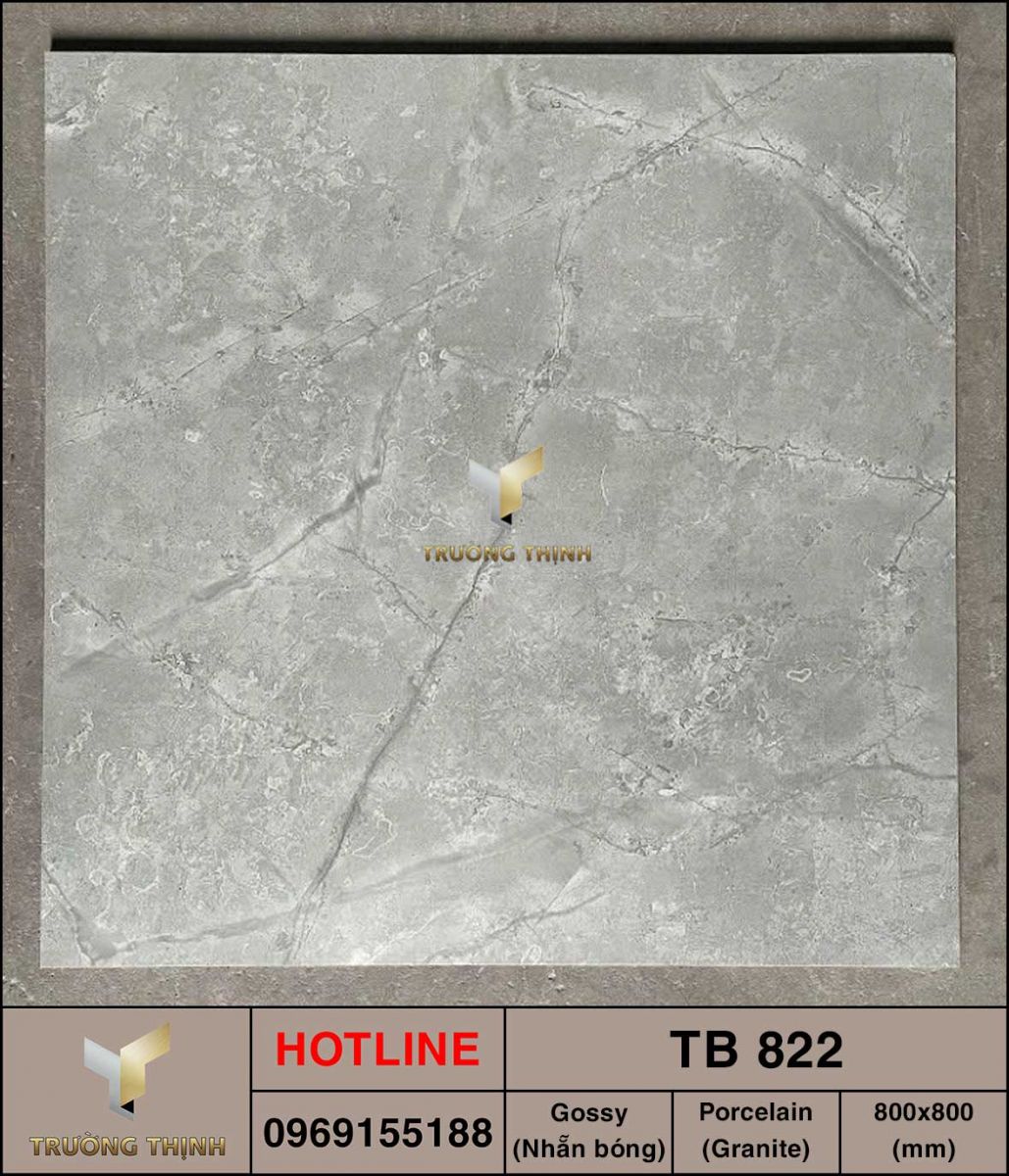Gạch granite 800x800 Viglacera TB 822 giá rẻ