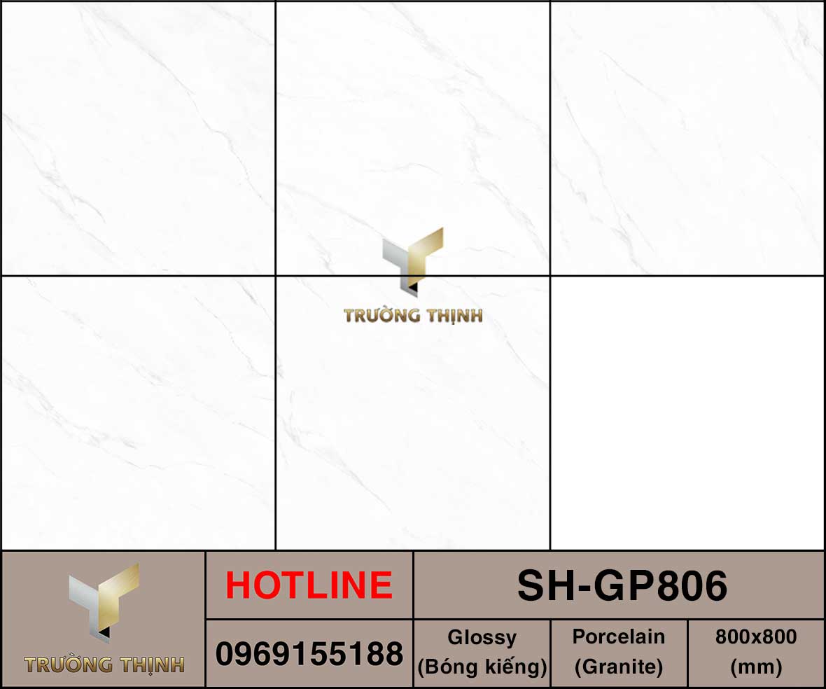 Ảnh MAP gạch lát nền 800x800 Viglacera SH-GP806