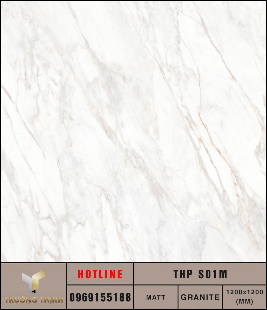 Gạch lát sàn 1200x1200 Eurotile Thu Phong THP S01M cao cấp