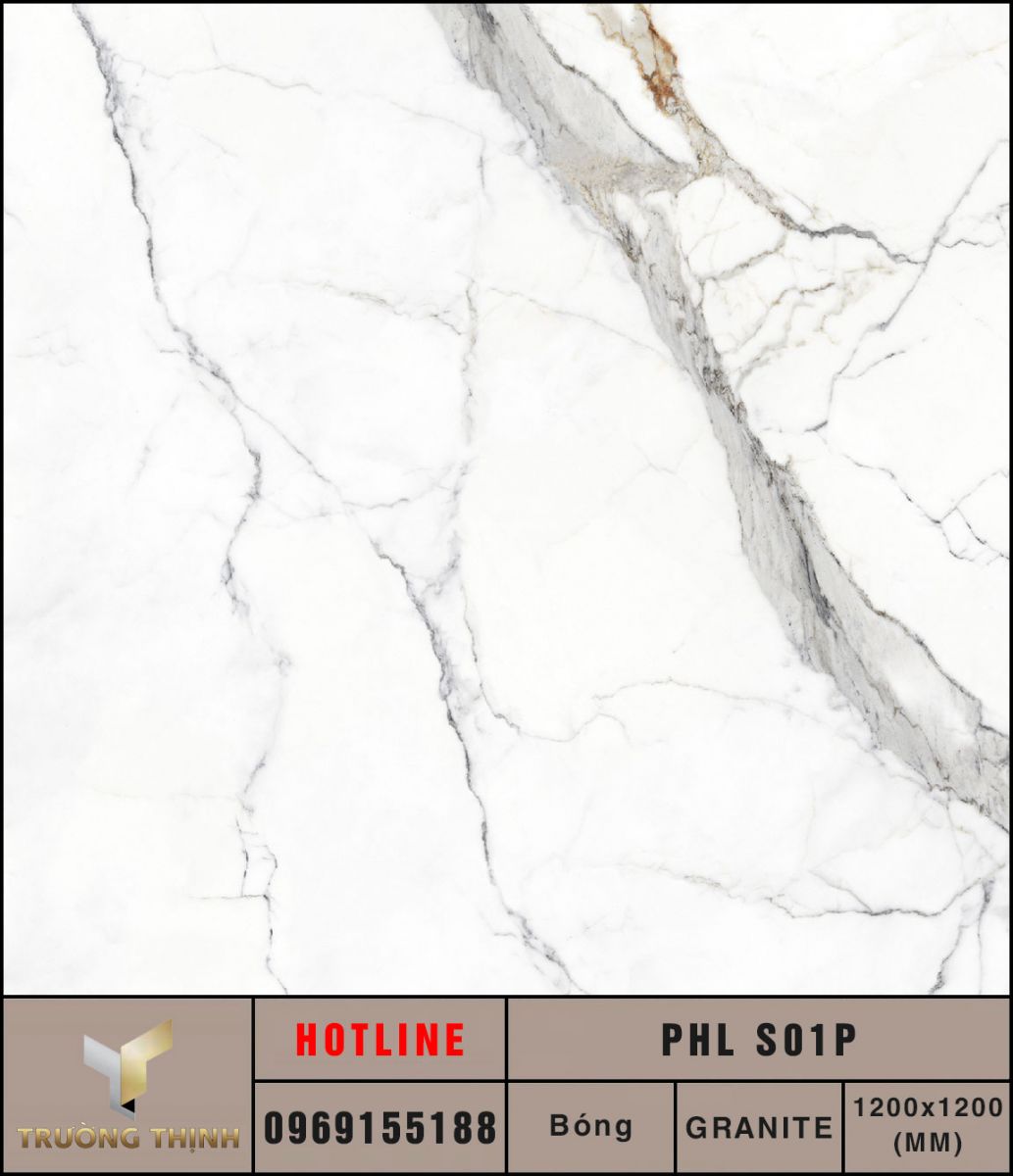 Ảnh MAP gạch lát nền tấm lớn 1200x1200 Eurotile Phong Lưu PHL S01P