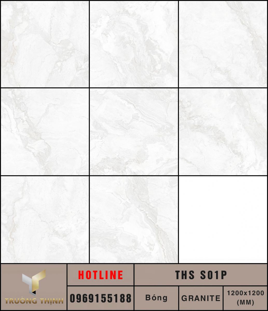 Ảnh MAP gạch lát nền 1200x1200 Eurotile Thạch Sơn THS S01P
