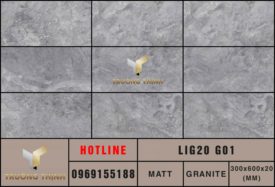 Ảnh gạch lát nền 300x600x20 Eurotile Liguria LIG20 G01