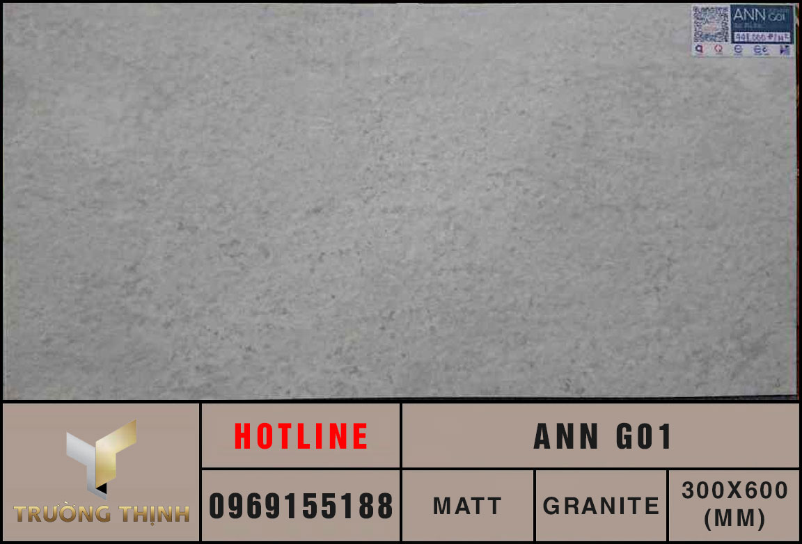 Ảnh thực tế gạch ốp lát 300x600 Eurotile An Niên ANN G01