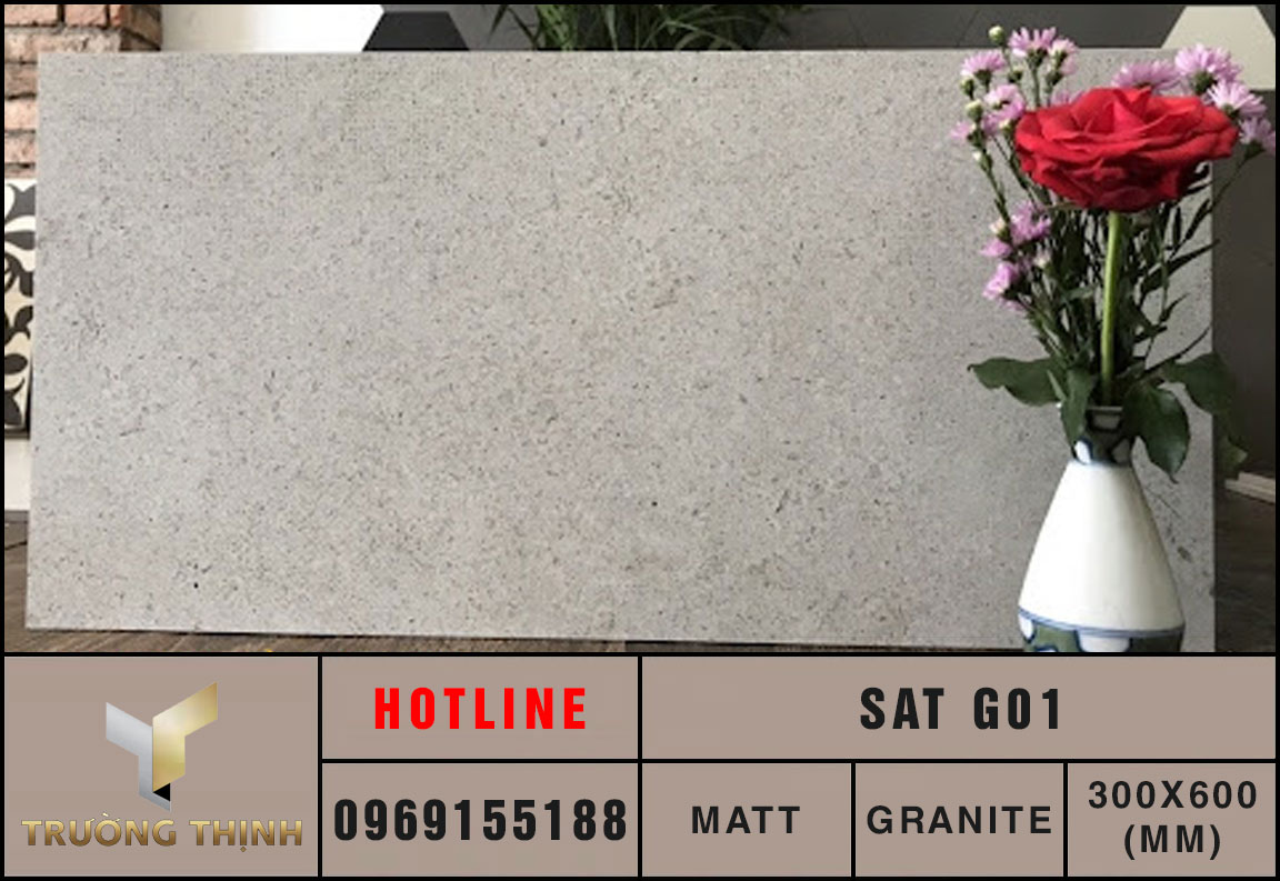 Gạch ốp lát 300x600 Eurotile SAT G01 giá rẻ