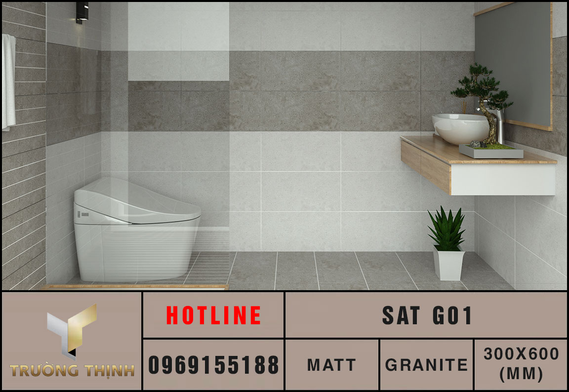 Ảnh mẫu 3D gạch ốp lát 300x600 Eurotile SAT G01