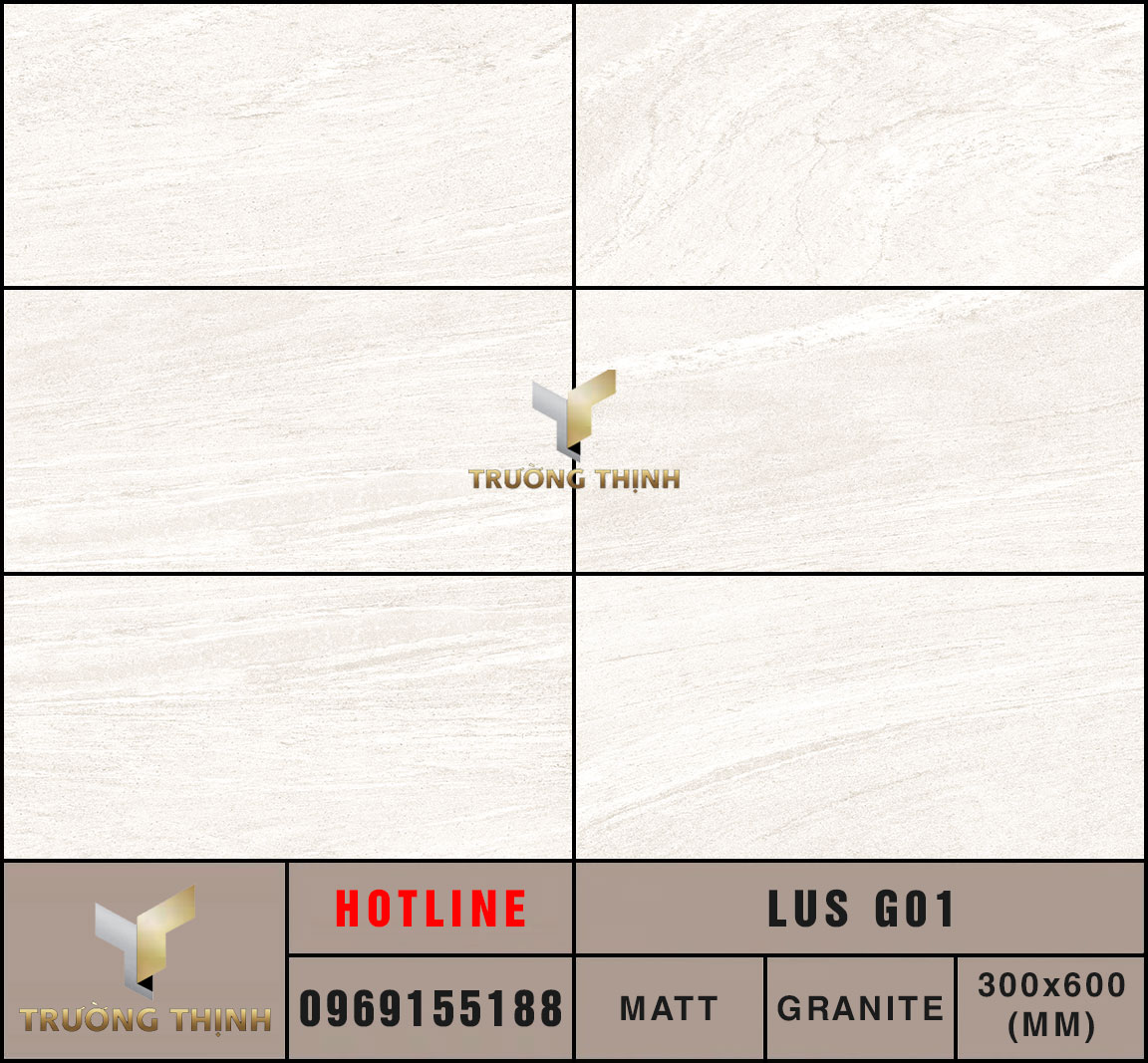 Ảnh MAP 5 Face gạch ốp lát 300x600 Eurotile Lưu Sa LUS G01