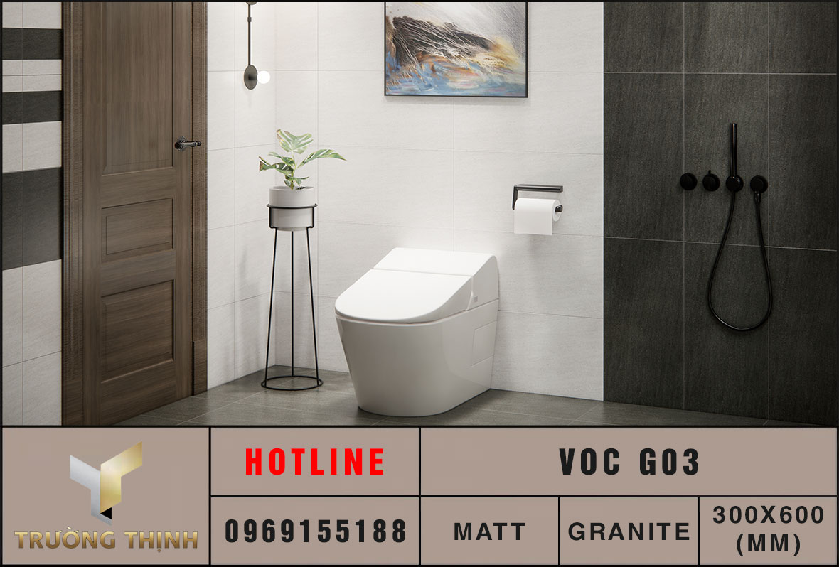 Ảnh phối cảnh 3D gạch ốp lát 300x600 Eurotile VOC G03