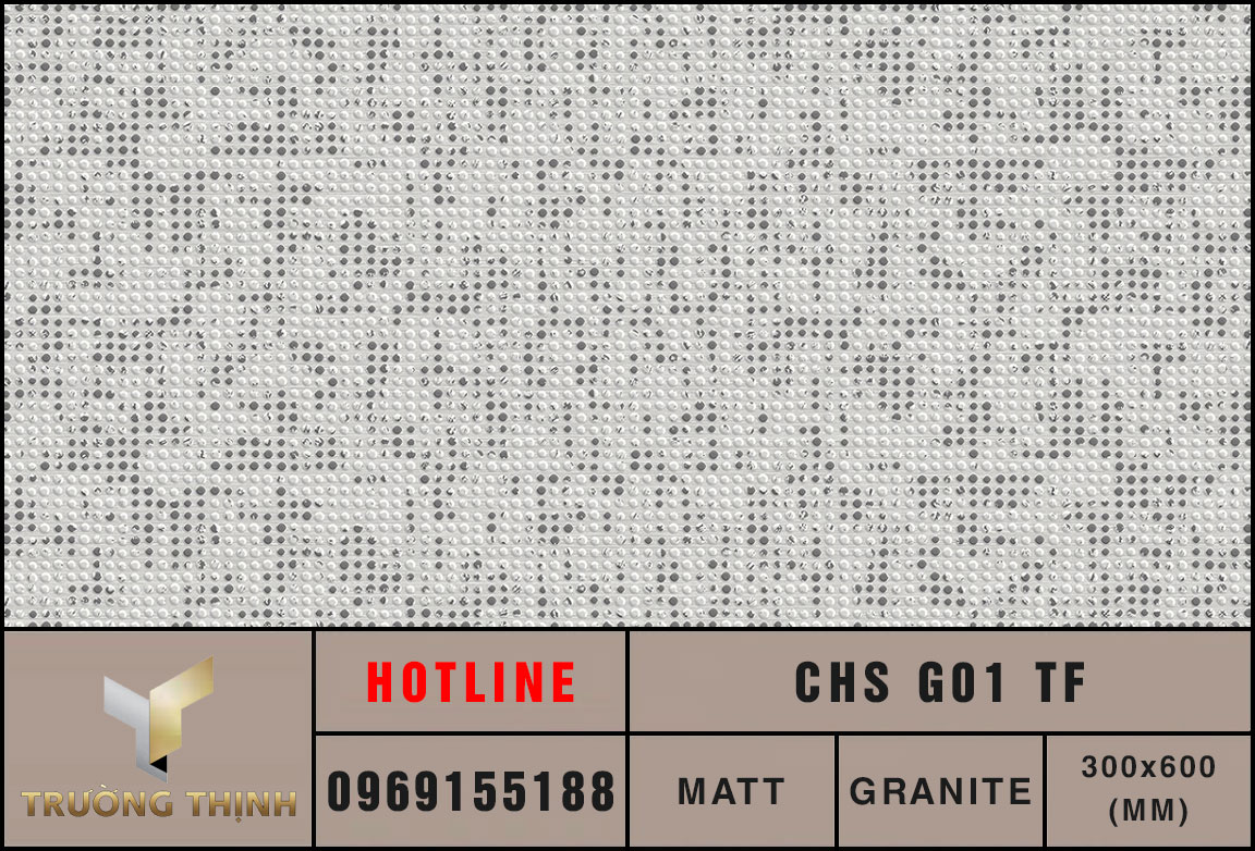 Ảnh mẫu gạch trang trí 300x600 Eurotile Châu Sa CHS G01 TF