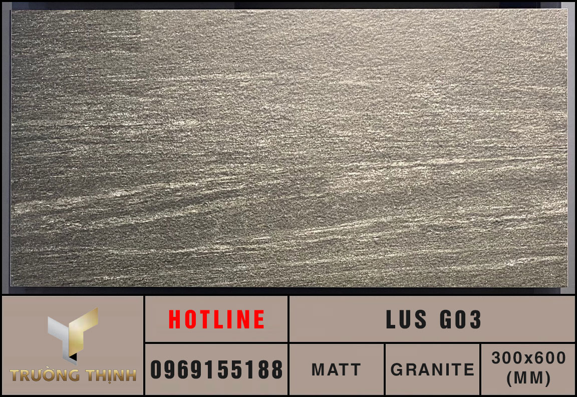 Ảnh thực tế gạch ốp lát 300x600 Eurotile Lưu Sa LUS G03