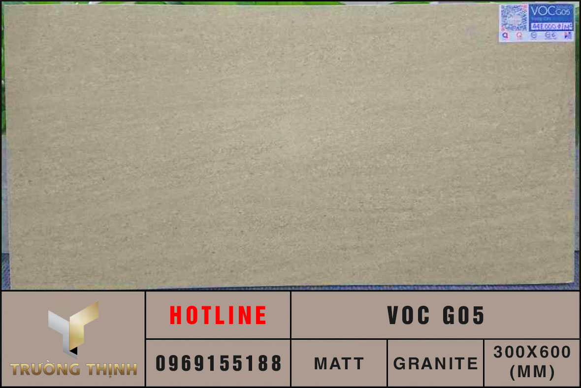 Gạch vân xi măng 300x600 Eurotile Vọng Cát VOC G05 xương đá