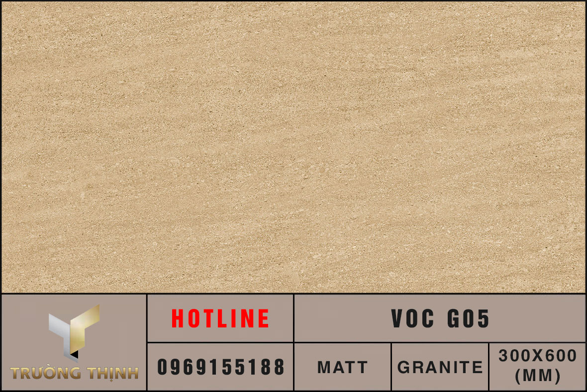 Ảnh thực tế gạch ốp lát 300x600 Eurotile VOC G05