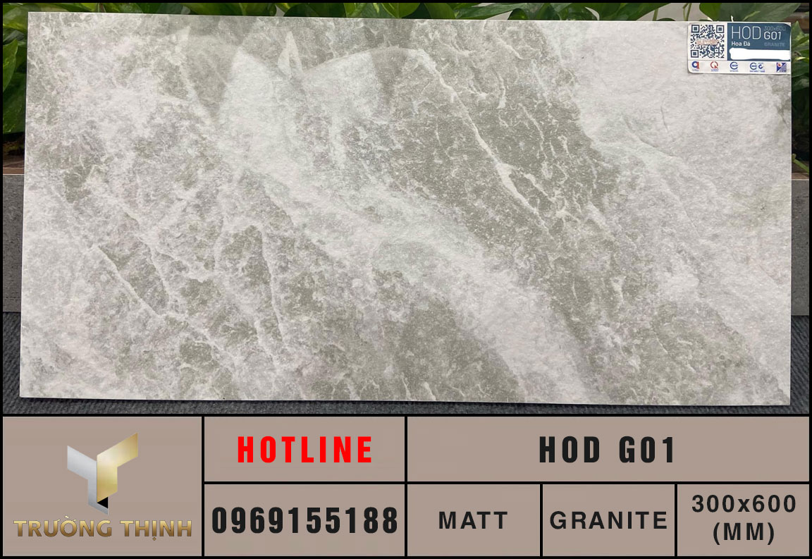 Gạch ốp lát granite 300x600 Eurotile Hoa Đá HOD G01 giá ưu đãi