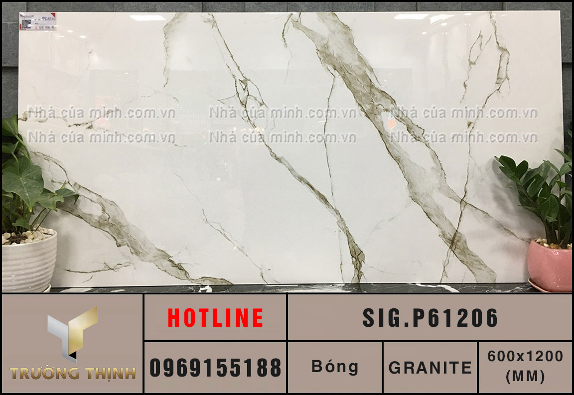 Gạch ốp lát 600x1200 Eurotile Chiêu Phong SIG.P61206 giá ưu đãi