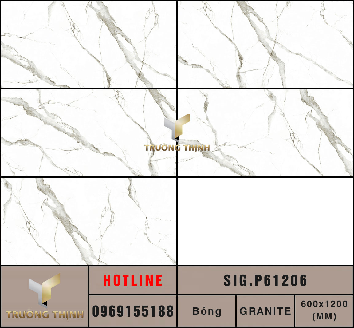Ảnh MAP gạch ốp lát 600x1200 Eurotile Chiêu Phong SIG.P61206