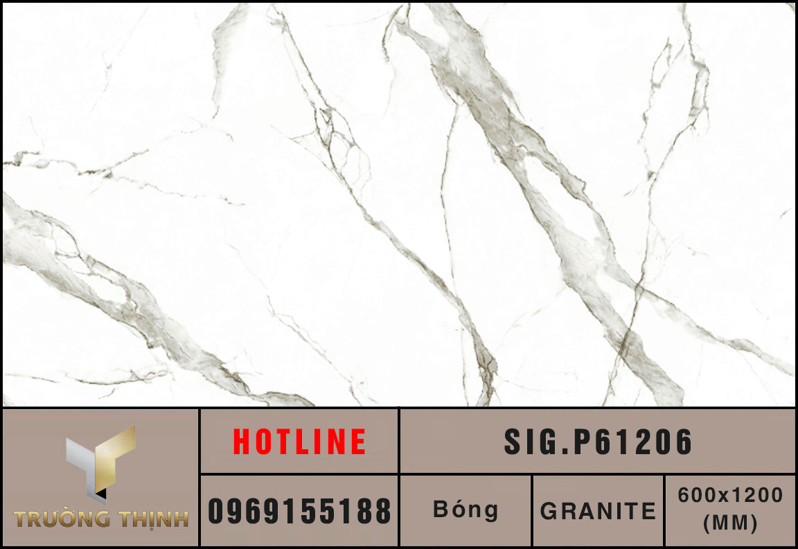 Ảnh MAP gạch ốp lát 600x1200 Eurotile Chiêu Phong SIG.P61206