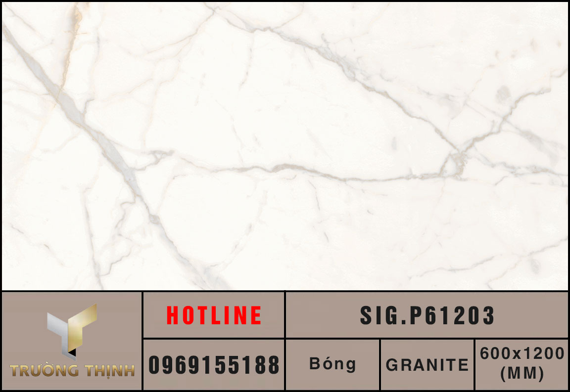 Gạch ốp lát 600x1200 Eurotile Phong Lưu SIG.P61203 vân đá