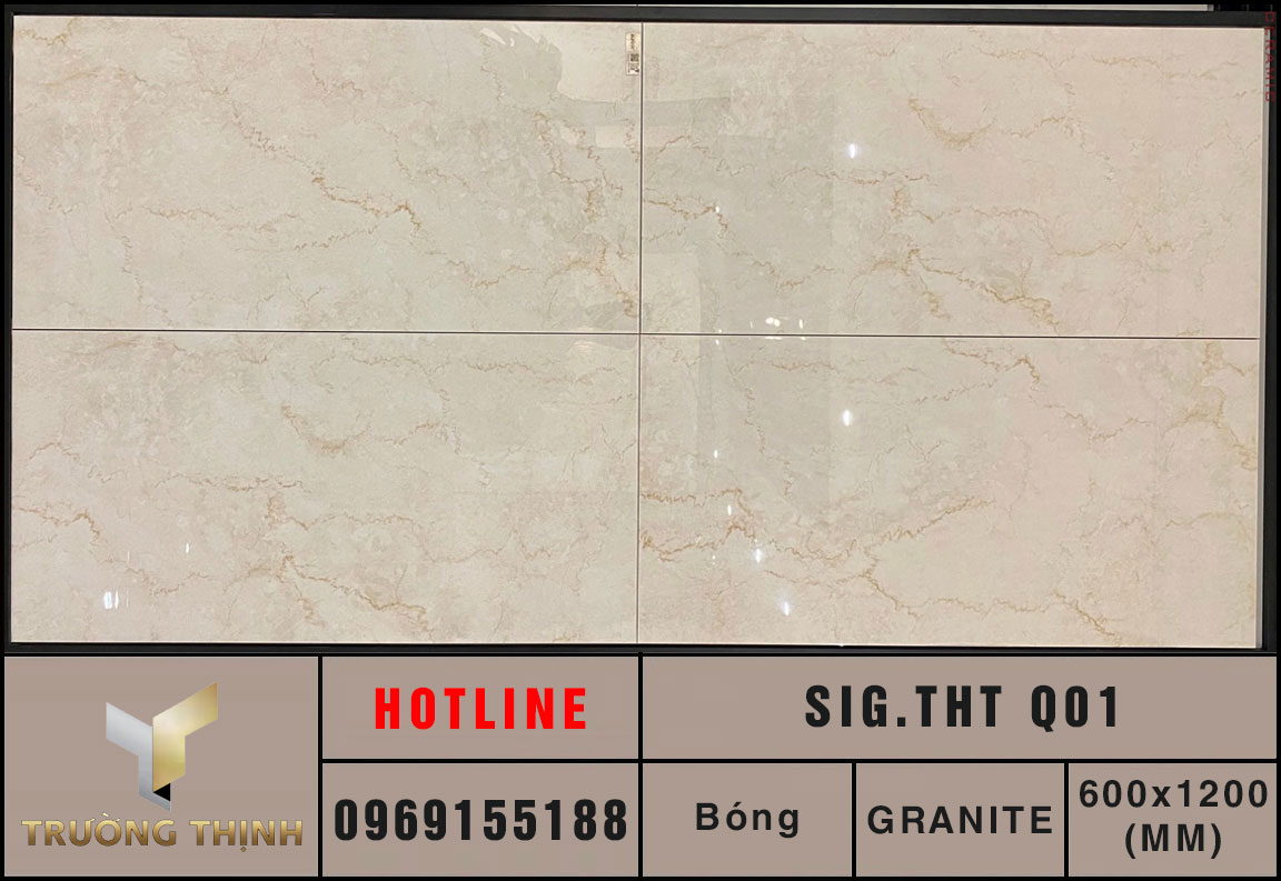 Gạch ốp lát 600x1200 Eurotile Thanh Tâm SIG.THT Q01 vân đá