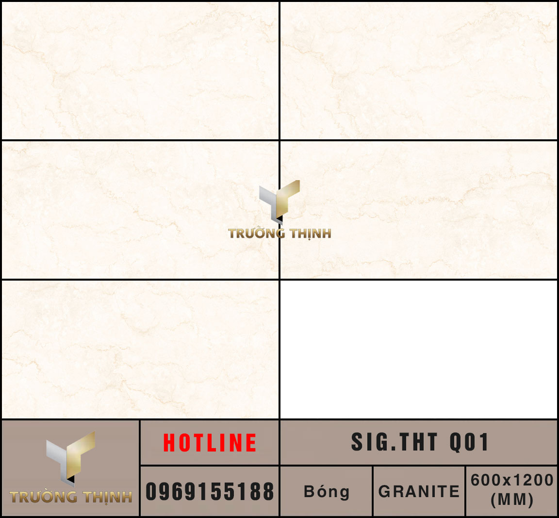 Ảnh MAP gạch Eurotile Thanh Tâm SIG.THT Q01